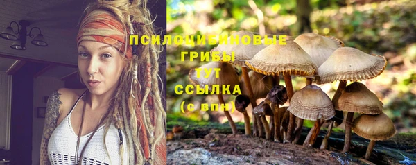 скорость Краснослободск