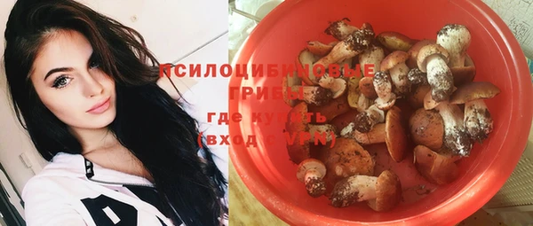 ешки Красноперекопск
