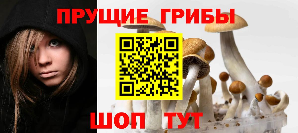 Псилоцибиновые грибы Cubensis  Вход с VPN  Михайловка  Галлюциногенные грибы Magic Shrooms 